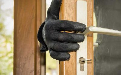 Zooming Into Stats That Affect Private Security & Public Policing In SA